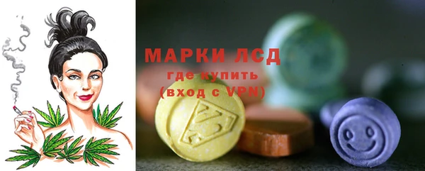 стафф Кодинск