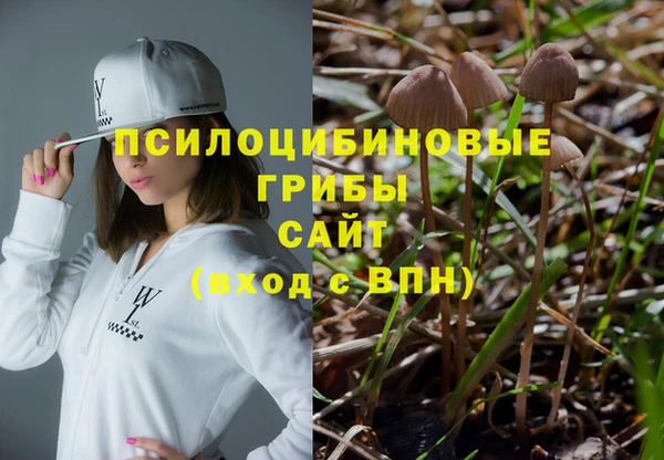 альфа пвп Козельск