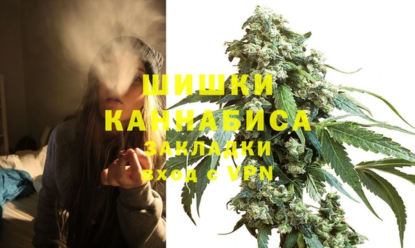 стафф Кодинск