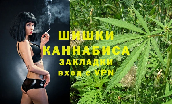 стафф Кодинск